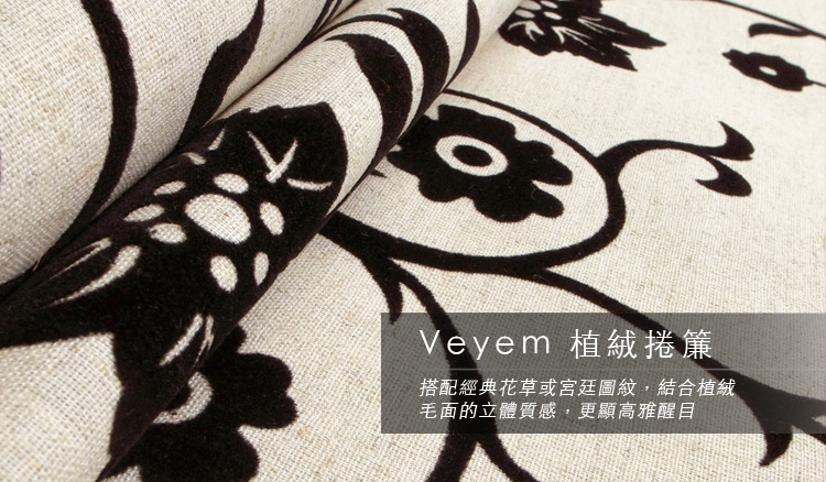 Veyem1-