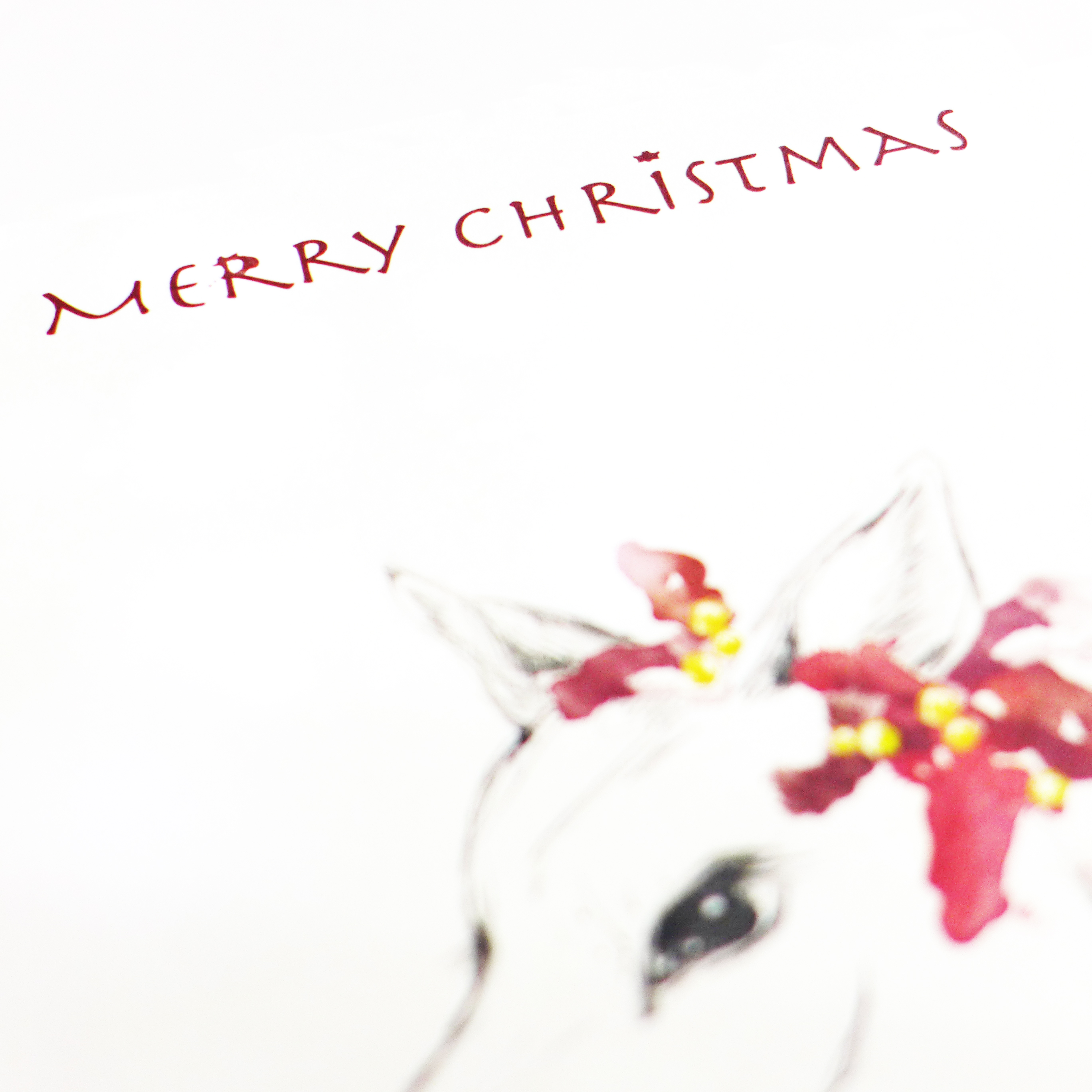 20131118 christmas card