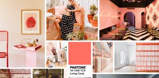 年度代表色 Pantone Color 2019 Living Coral